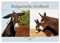 Produktbild: Bulgarische Gro&szlig;esel - Schwarze Sch&ouml;nheiten (Wandkalender 2025 DIN A4 quer), CALVENDO Monatskalender