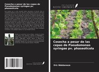 Produktbild: Cosecha a pesar de las cepas de Pseudomonas syringae pv. phaseolicola
