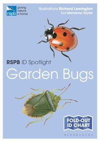 Produktbild: RSPB ID Spotlight - Garden Bugs