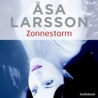 Produktbild: Zonnestorm