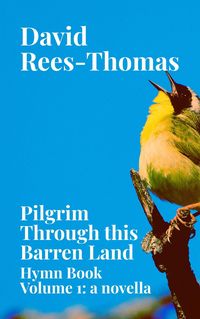 Produktbild: Pilgrim Through This Barren Land