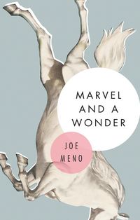 Produktbild: Marvel and a Wonder
