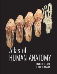 Produktbild: Atlas of Human Anatomy