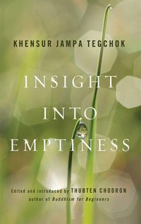 Produktbild: Insight into Emptiness