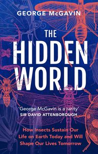 Produktbild: The Hidden World