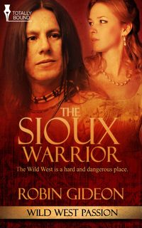 Produktbild: The Sioux Warrior