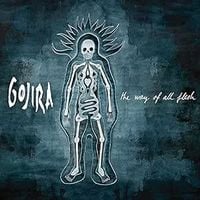 Produktbild: The Way Of All Flesh (2LP/Blue Marbled Vinyl)