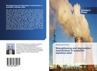 Produktbild: Strengthening and degradation mechanisms in austenitic stainless steel