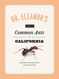 Produktbild: Spicer Rice, E: Dr. Eleanor's Book of Common Ants of Califor