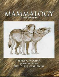 Produktbild: Mammalogy