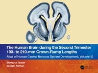 Produktbild: The Human Brain during the Second Trimester 190- to 210-mm Crown-Rump Lengths