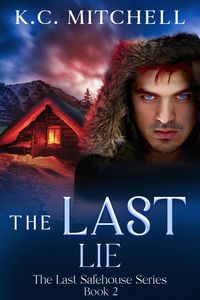 Produktbild: The Last Lie (The Last Safehouse Series, #2)