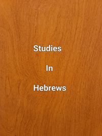 Produktbild: Studies In Hebrews