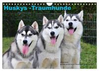 Produktbild: Huskys - Traumhunde (Wandkalender 2026 DIN A4 quer), CALVENDO Monatskalender
