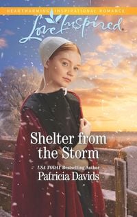 Produktbild: Shelter from the Storm