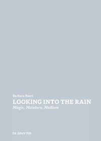 Looking Into the Rain