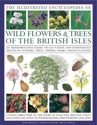 Produktbild: Illus Ency Of Wild Flowers & T
