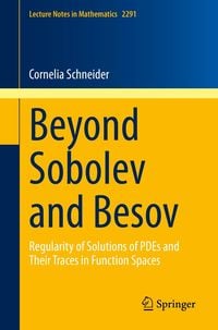 Produktbild: Beyond Sobolev and Besov