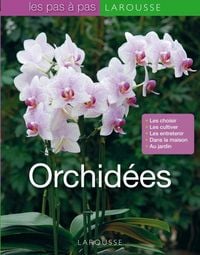 Produktbild: Orchid&eacute;es