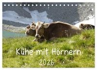 Produktbild: K&uuml;he mit H&ouml;rnern (Tischkalender 2026 DIN A5 quer), CALVENDO Monatskalender