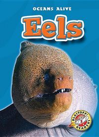 Produktbild: Eels