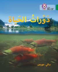 Produktbild: BIG CAT ARABIC - LIFE CYCL