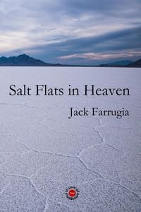 Produktbild: Salt Flats in Heaven