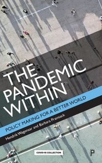 Bild vom Artikel Pandemic Within vom Autor Hendrik Wagenaar