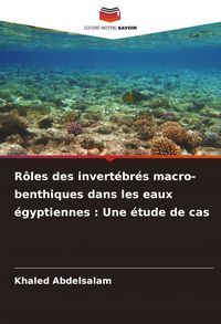 Produktbild: R&ocirc;les des invert&eacute;br&eacute;s macro-benthiques dans les eaux &eacute;gyptiennes : Une &eacute;tude de cas