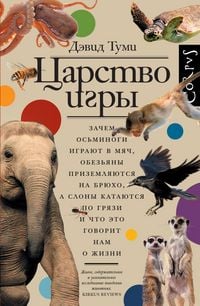 Produktbild: Tsarstvo igry