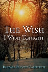Produktbild: The Wish I Wish Tonight