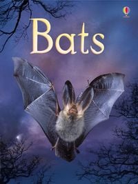 Produktbild: Bats