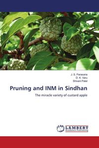 Produktbild: Pruning and INM in Sindhan