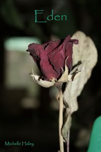Produktbild: Eden