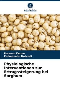 Produktbild: Physiologische Interventionen zur Ertragssteigerung bei Sorghum
