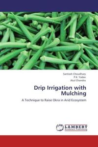 Produktbild: Choudhary, S: Drip Irrigation with Mulching