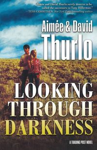 Produktbild: Looking Through Darkness