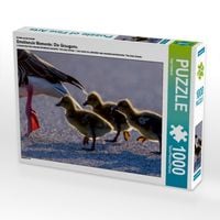 Produktbild: CALVENDO Puzzle Ein Motiv aus dem Kalender Emotionale Momente: Die Graugans. | 1000 Teile Lege-Gr&ouml;&szlig;e 64x48cm Foto-Puzzle f&uuml;r gl&uuml;ckliche Stunden