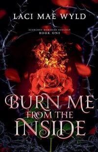 Produktbild: Burn Me From The Inside