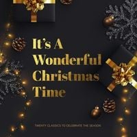 Bild vom Artikel Its A Wonderful Christmas Time vom Autor Various