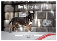 Produktbild: Der Bullterrier der beste Hund der Welt (Wandkalender 2027 DIN A2 quer), CALVENDO Monatskalender