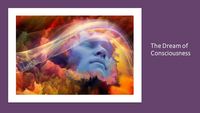 Produktbild: The Dream of Consciousness