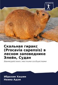 Produktbild: Skal'naq girax (Procavia capensis) w lesnom zapowednike Jelejn, Sudan