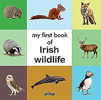 Produktbild: My First Book of Irish Wildlife