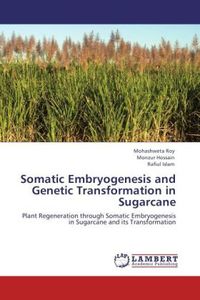 Produktbild: Roy, M: Somatic Embryogenesis and Genetic Transformation in