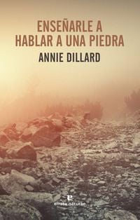Produktbild: Ensenarle a Hablar a Una Piedra