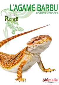 Produktbild: Agame barbu pogona vitticeps