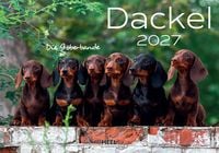Produktbild: Dackel 2027 Wandkalender Hundekalender