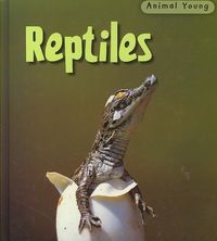 Produktbild: Reptiles