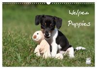 Produktbild: Welpen - Puppies (Wandkalender 2026 DIN A3 quer), CALVENDO Monatskalender